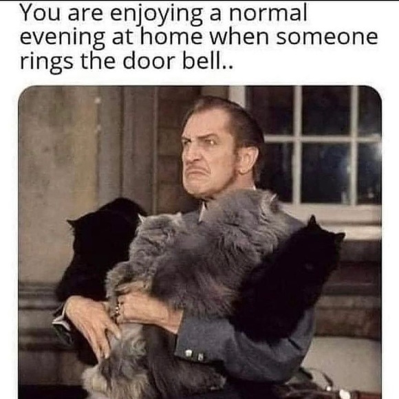 Meet your Posher, Tracey - Picture 2 of 7